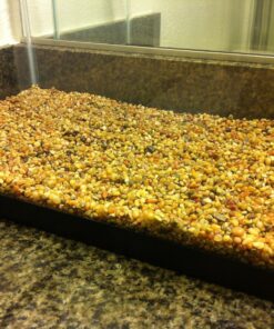 Spectrastone Shallow Creek Regular for Freshwater Aquariums, 5-Pound Bag 36 81 1mslKGbL
