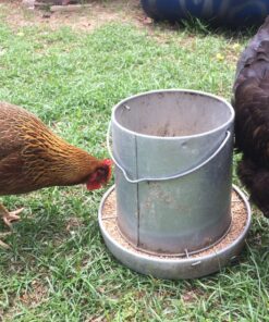 Miller 9112 12lb. Galvanized Hanging Poultry Feeder 12 lb 14 81 3vuOlbkL