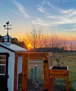 Whitehall Products 67 Rooster Accent Weathervane, 24", Black 20 81 5BATYbTL