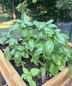 VegTrug 8 Pocket Herb Garden Brown 43 81 94zfi zL