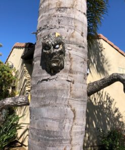 Alternative view of Seasons Spooky Living Tree Decoration Face with Arms