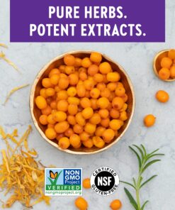 New Chapter Supercritical Omega 7 with Sea Buckthorn + Plant Sourced Fatty Acids + Omega 7 + Non-GMO Ingredients - 60 Vegetarian Capsule Unflavored 60 Count (Pack of 1) 11 81 CAMzhz5L