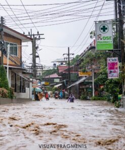 Hyperbiotics Pro Gut Integrity, Immune Probiotics | Vegan Time Release Capsules | Probiotics for Women and Men | Vitamin C, Echinacea, Zinc | Digestive & Gut Health | 60 Count 25 81 DIXMHQZL 1