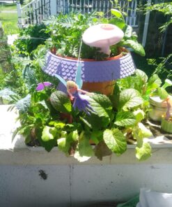 My Fairy Garden - Magical Cottage 30 81 DqaByh8L