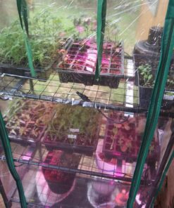 Gardman R687 4-Tier Mini Greenhouse, 27" Long x 18" Wide x 63" High,Black 43 81 FrL54FL