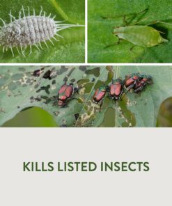 Garden Safe Insect Killer, 1-count 1 Pack 26 81 GxghRsHL