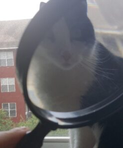 U.S. Toy US Toy One Jumbo 9" Plastic Magnifying Glass, Black 23 81 IdyUBg6L