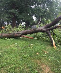 BLACK+DECKER 20V MAX Chainsaw Kit, Cordless, 10 inch, Tool-Free Chain Tensioning, Oil Lubrication System, Battery and Charger Included (LCS1020) 20V Chainsaw Kit 48 81 JH2yG TL