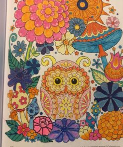 Groovy Owls Coloring Book (Coloring is Fun) (Design Originals) 32 Adorable Art Activities with Quiet, Stoic, Wise, and Happy Owls, plus Beginner-Friendly Advice, Techniques, Color Choices, & Examples Paperback, Coloring Book 50 81 LhnxjjL