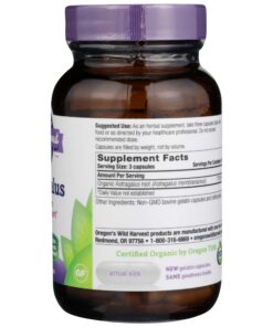 Oregon s Wild Harvest Astragalus long term immune support 90 Capsules 13 81 Lvlorh7L