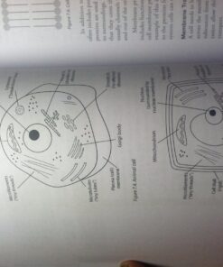 TEAS V Study Guide 2016:: TEAS Test Prep and Practice Questions for the TEAS Version 5 Exam 34 81 PxYL7fuL