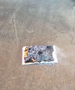 Barron's AP European History 5 81 QNebhAvL