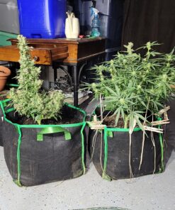 FoxFarm Ocean Forest Potting Soil, 1.5 cu ft, brown/a (FX14000) 35 81 Tnq65VhL