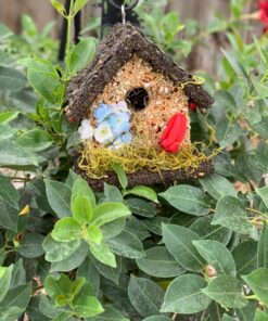 Edible Birdhouses | Reseedable Wooden Birdhouse Covered w/Birdseed | Squirrel Proof Bird Feeder | Made in The USA (SD) Short Dark Roof 33 81 ZHlGjVgL