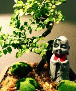 Ksitigarbha Jizo Ojizo-Sama Japanese Buddha Statue 27 81 bpfGfkhL