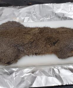 Crosman Premier Lead Pellets (500-Count) Domed .22 26 81 fLL655qL