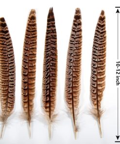 THARAHT 24pcs Female Ringneck Pheasant Tails Feathers Natural Feathers 10-12inch 25-30cm for Crafts Home Wedding Party Performance DIY Decoration Female Pheasant Feathers Female Pheasant feather-10-12inch 9 81 gLUVzQL 1