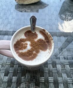 Breville ESP8XL Cafe Roma Stainless Espresso Maker,1.2 liters 44 81 n3XJZqkL