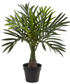 Alternative view of Nearly Natural Mini Areca, Fountain and Banana Palm Trees (set of 3),13 - 15 x13 - 15 x15.5 - 16