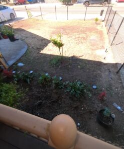 Rain Bird 32ETI Easy to Install In-Ground Automatic Sprinkler System Kit Automatic Sprinkler System Kit w/ Timer 37 81 oCOn2KUL