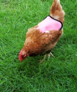 Hen Saver Hen Apron/Saddle, Single Strap, Small/Medium, Awareness Pink Medium 24 81 tGzknoNL