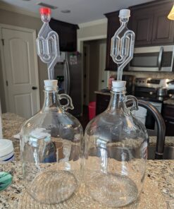 FastRack 1 gal Glass Wine Fermenter, INCLUDES Rubber Stopper and Twin Bubble Airlock, Multicolor 1 Count (Pack of 1) 24 81 vRHQlrGL