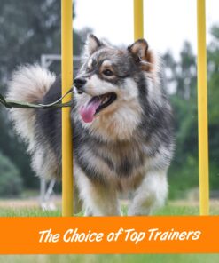 Pet Botanics Training Rewards Mini Treats For Dogs, Bacon, 4 Oz. 4 Ounce (Pack of 1) 24 810 OIdzD6L