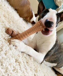 Nylabone Power Chew Dog Toy - Dog Toys for Aggressive Chewers - Indestructible Dog Toys for Aggressive Chewers Large Breed - For Extra Large Dogs - Bacon Flavor X-Large/Souper (1 Count) X-Large/Souper - 50+ lbs. 29 8101yQWIurL