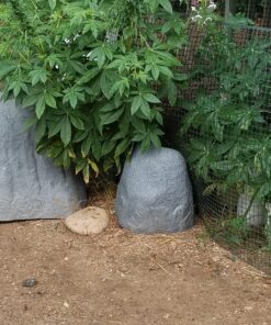 Emsco Group 2185 Large – Lightweight Landscape Rock-Resin, Granite 38 8102mKibmaL