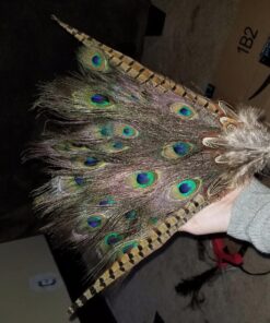 LolliBeads (TM) 50 Pcs Natural Ringneck Pheasant feather 2-3 inches 27 81032dsTcbL