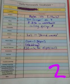 EXPO Vis-a-Vis Wet Erase Markers, Fine Point, Assorted Colors, 8 Count 8 Count (Pack of 1) 34 810356xu75L