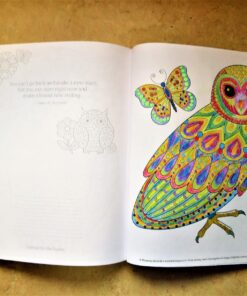 Groovy Owls Coloring Book (Coloring is Fun) (Design Originals) 32 Adorable Art Activities with Quiet, Stoic, Wise, and Happy Owls, plus Beginner-Friendly Advice, Techniques, Color Choices, & Examples Paperback, Coloring Book 56 8104JgELhmL