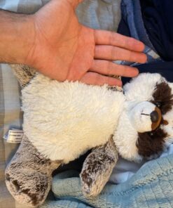 Aurora® Snuggly Sweet & Softer™ Rocky Raccoon™ Stuffed Animal - Comforting Companion - Imaginative Play - Gray 11.5 Inches 12 inches 20 8109LUUiTL