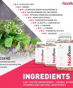 NOOFLOW Nootropic Brain Booster Supplement | The Premium Focus, Memory, Mood & Energy Formula | Smart Boost of 14 Ingredients for Natural Clarity | USA-Made Pills | 60 Capsules 22 8109YLIWiEL