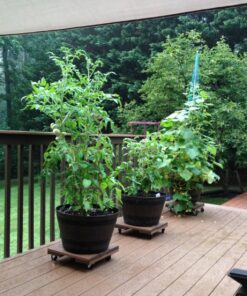 MegaDeal 12 Pack 2" Swivel Caster Wheels Rubber Base with Top Plate & Bearing Heavy Duty 12 Pack - No Brake Black 26 8109xx5FMDL