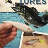 Making Wooden Fishing Lures: Carving and Painting Techniques that Really Catch Fish (Fox Chapel Publishing) 11 Step-by-Step Projects for Crawlers, Chasers, Wigglers, & More with Clear, Expert Advice 14 810EF1czwjL