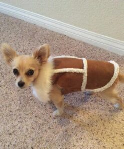 Merrick Grain Free Puppy Chicken Sweet Potato Recipe Dry Dog Food (4 lb) Puppy Real Chicken + Sweet Potato 4 Pound (Pack of 1) 28 810EgmkbFLL