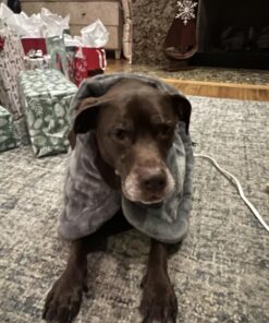 RENPHO Weighted Heating Pad for Back Pain Relief, FSA HSA Eligible, Electric Heat Pads for Neck and Shoulders, Fast-Heating, Auto Shut Off, Christmas Gifts for Women Men Mom Dad, ETL Certified, Gray A-gray-24"x33'' 40 810FVmYKlDL