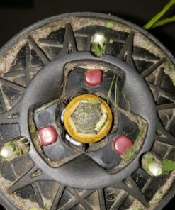 Pivotrim Rino Tuff Universal Hybrid String and Bladed Trimmer Head Replacement,Black 12 810Ia5tWf8L