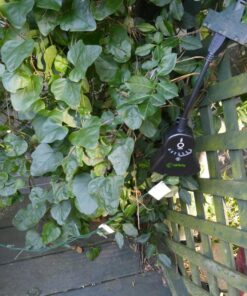 BN-LINK Outdoor 24-Hour Water Resistant Photoelectric Countdown Timer Photocell Light Sensor (2, 4, 6 or 8 Hours Countdown Mode) 3 Grounded Outlets Remote Control (100 ft Range) for Home and Garden Countdown Photocell Remote 46 810JbRCjWPL