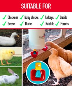 Royal Rooster 1 Gallon Automatic Twin Chicken Waterer with 2 Gravity-Feed Valve-Operated Drinking Cups - Indoor and Outdoor Coop Hanging Chicken, Duck and Poultry Water Dispensing System 19 810JnhovCYL