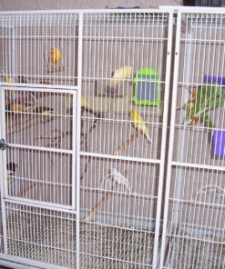 Viva Naturals Organic Ground Flaxseed - Premium Quality Plant-Based Protein and Vegan Omega 3 with Fiber, Perfect for Smoothies, Non-GMO and Gluten Free, 15 oz (425 g) 15 Ounce (Pack of 1) 40 810MkctNo3L