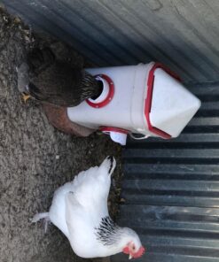 RentACoop 20lb BPA-Free Chicken Feeder with Large Ports - Includes Lid, Anti-Roost Cone, Ports, Rain Hoods - Suitable for Chickens - Corner Placement 36 810Mo4V0DyL