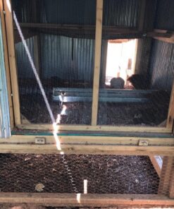 Little Giant® Reel-Top Poultry Ground Feeders | Galvanized Feeding Trough Tray | Durable and Lightweight Chicken Feeder | Made in USA | 36 Inches 16 Ounce 16 810Oj6EyoSL