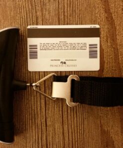 Camry Digital Luggage Scale, Portable Handheld Baggage Scale for Travel, Suitcase Scale with Hook,110 Pounds, Battery Included Red with Overweight Alert 39 810PPSRdLQL