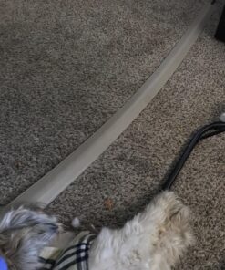 C2G Legrand Overfloor Duct, Ivory, (60 Inches) Wiremold Floor Management Kit, Corduct, Cord Protector, Wire Organizer and Hider, Rubber Cable Cover and Concealer, CDI-5, 5 Feet 5 ft 31 810R ivVOEL