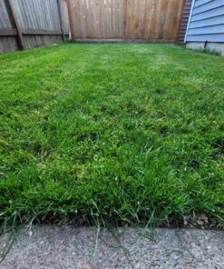 Greenworks 10 Amp 16-inch Corded Mower, 25142 16" Corded Mower 80 810Sc9pLnwL