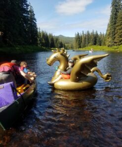 Luxy Float Inflatable Pool Float, Large Water Pool Toys for Adults and Family, Swimming Pool Floats for Party Fun Dragon 36 810WBdcoZ5L