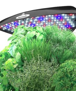AeroGarden Classic 6 with Gourmet Herb Seed Pod Kit 37 810WVScxMXL