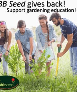 Hummingbird Nectar Wildflower Seeds Bulk Open-Pollinated Wildflower Seed Mix Packet, Non-GMO, No Fillers, Annual, Perennial Wildflower Seeds Year Round Planting - 1 oz 59 810WiQEuj3L